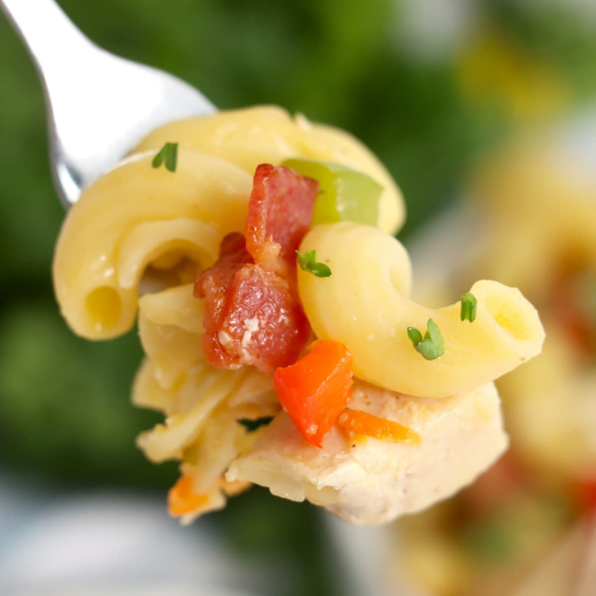 spoonful of rigatoni carbonara 