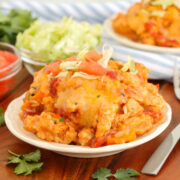 Closeup shot of scoop of easy slow cooker taco chicken and rice on table