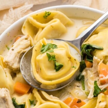 A spoon holding some creamy chicken tortellini soup.