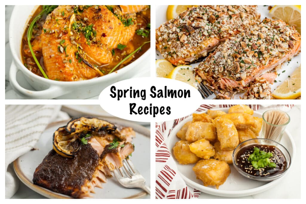 Spring Salmon Recipes - Kitchen Divas