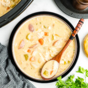 Creamy chicken stew in a bowl with a spoonful resting in the bowl.