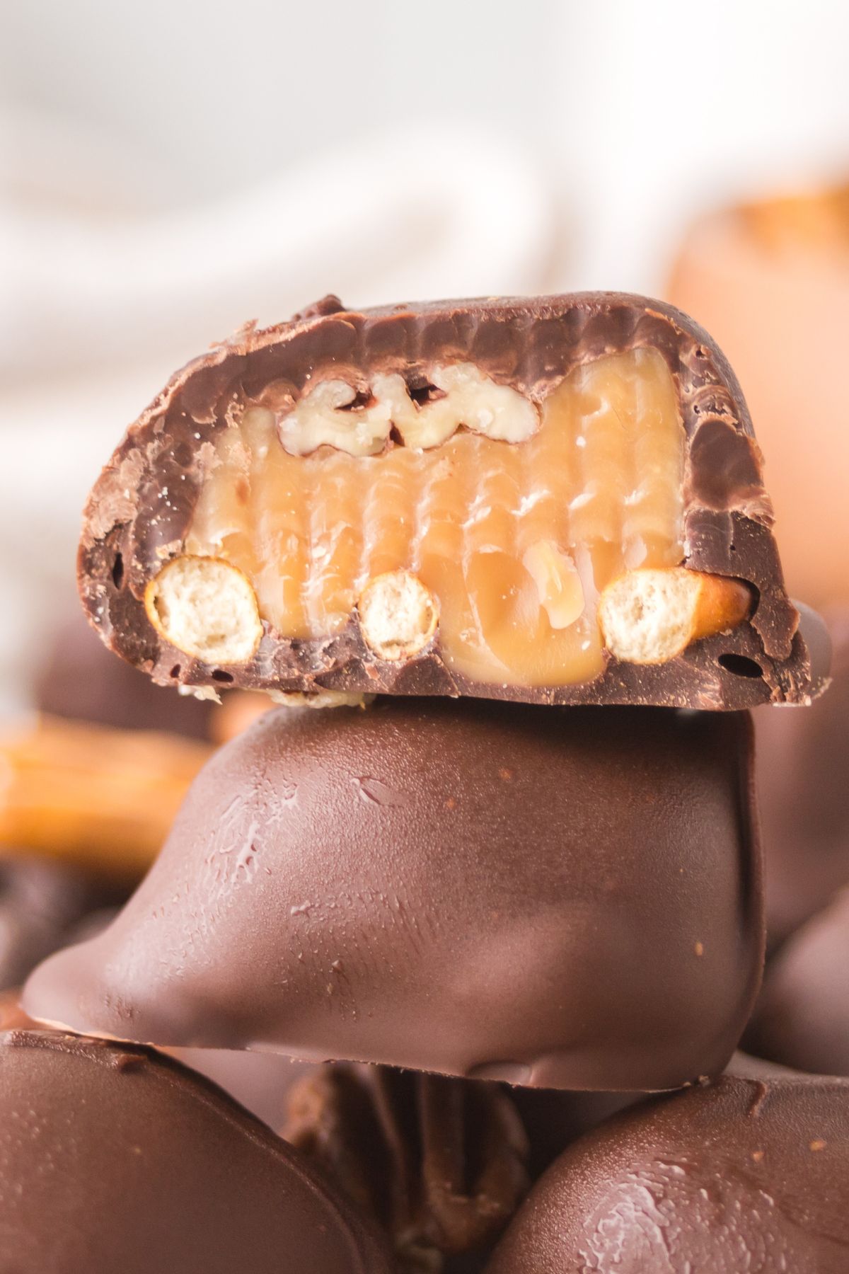 Pretzel turtle cut in half.