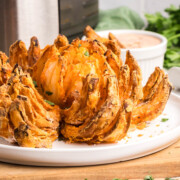 Air fryer blooming onion on a plate.