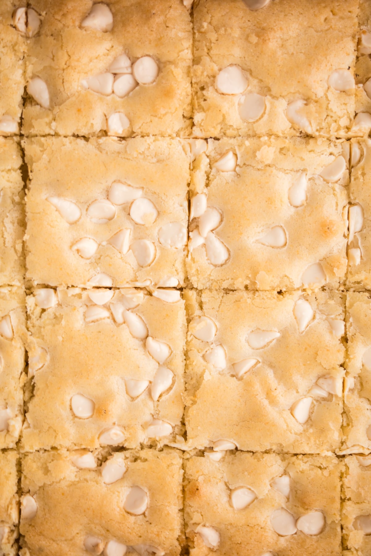 White chocolate brownies cut into squares.