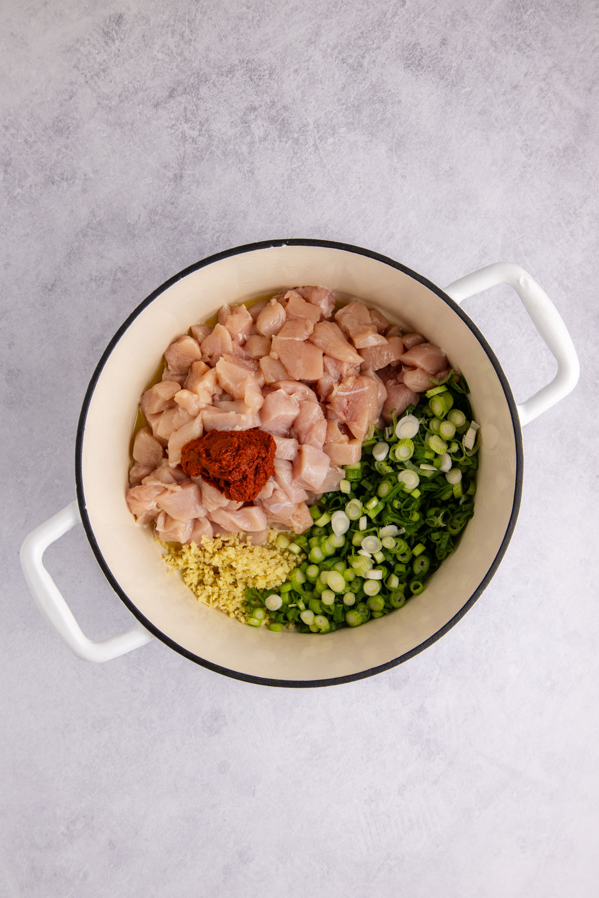 Chicken, ginger, garlic, curry paste, and green onions in a pot.&nbsp;
