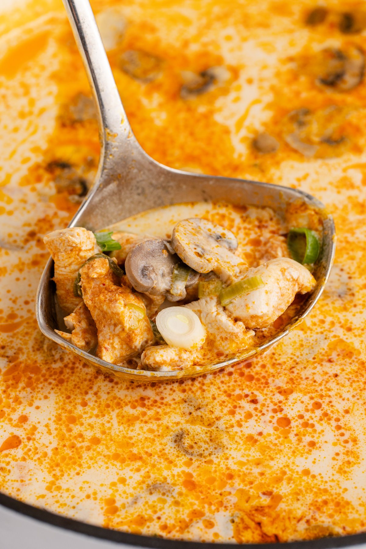 A ladle scooping out some chicken soup with mushrooms. 