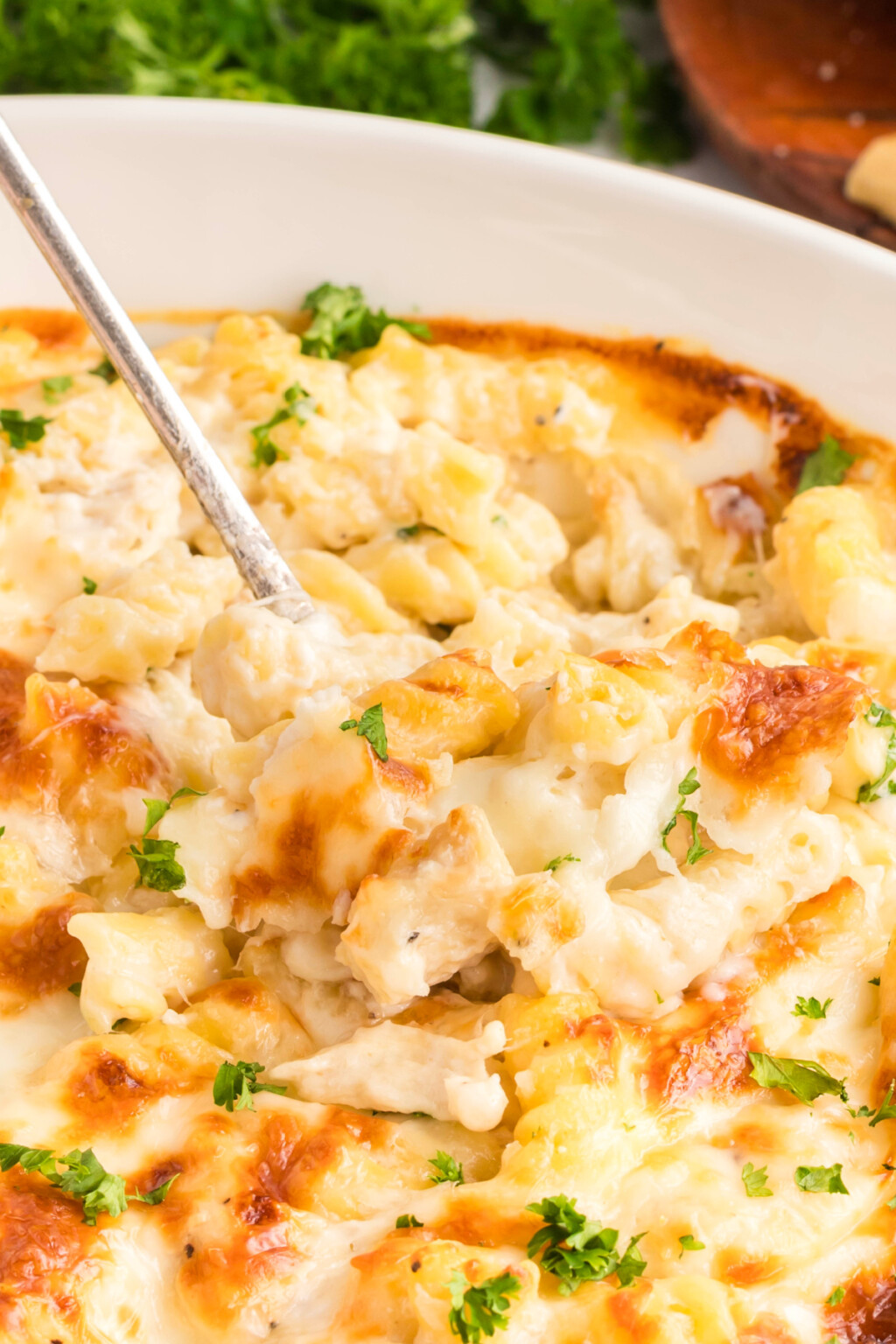 Chicken Alfredo Bake - Kitchen Divas