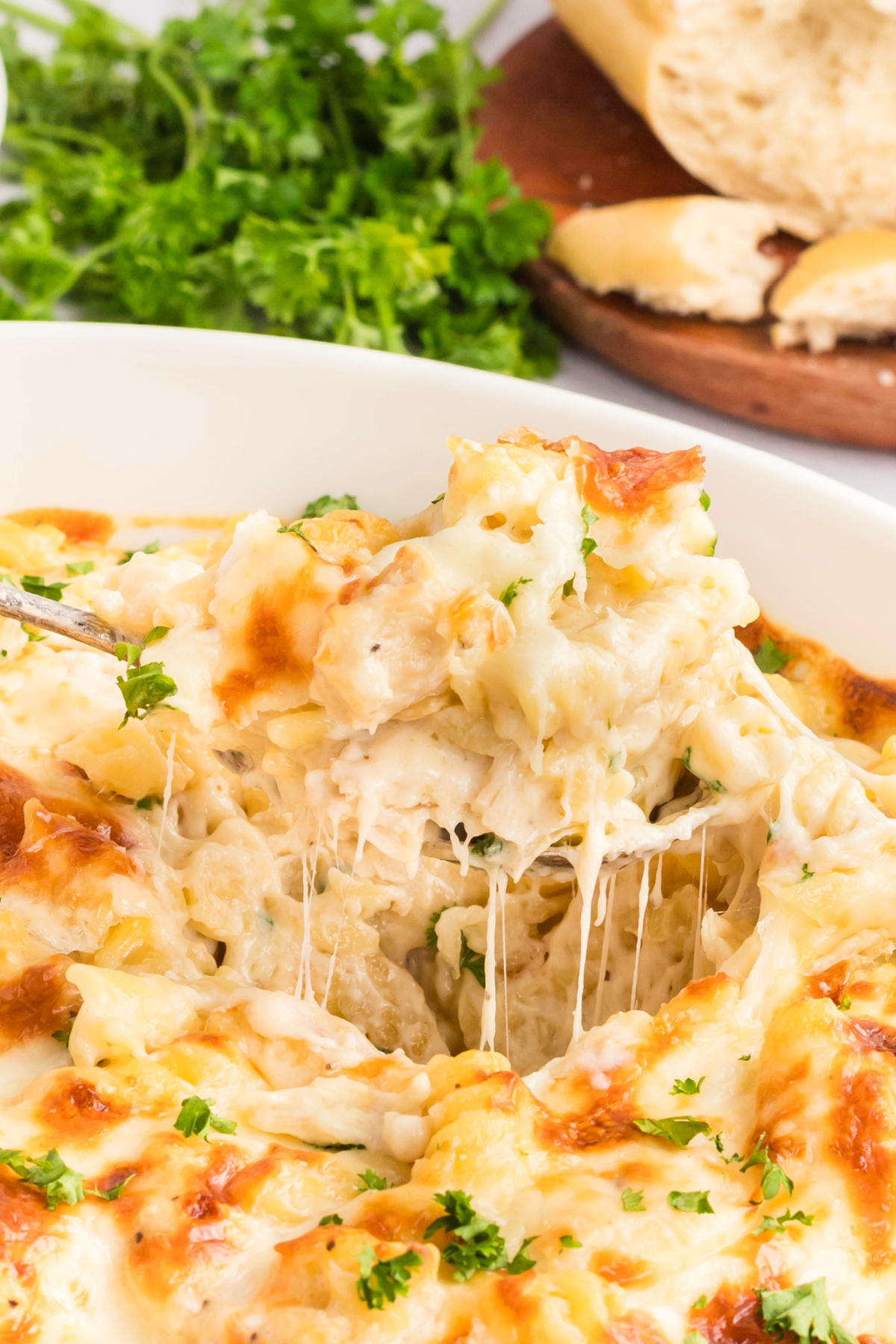 Pasta alfredo with chicken being lifted with a spoon.