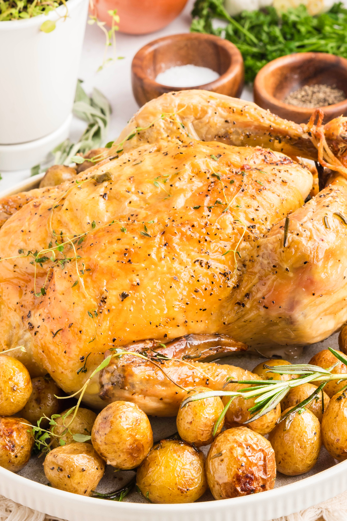 A whole roasted chicken on a bed of baby potatoes.