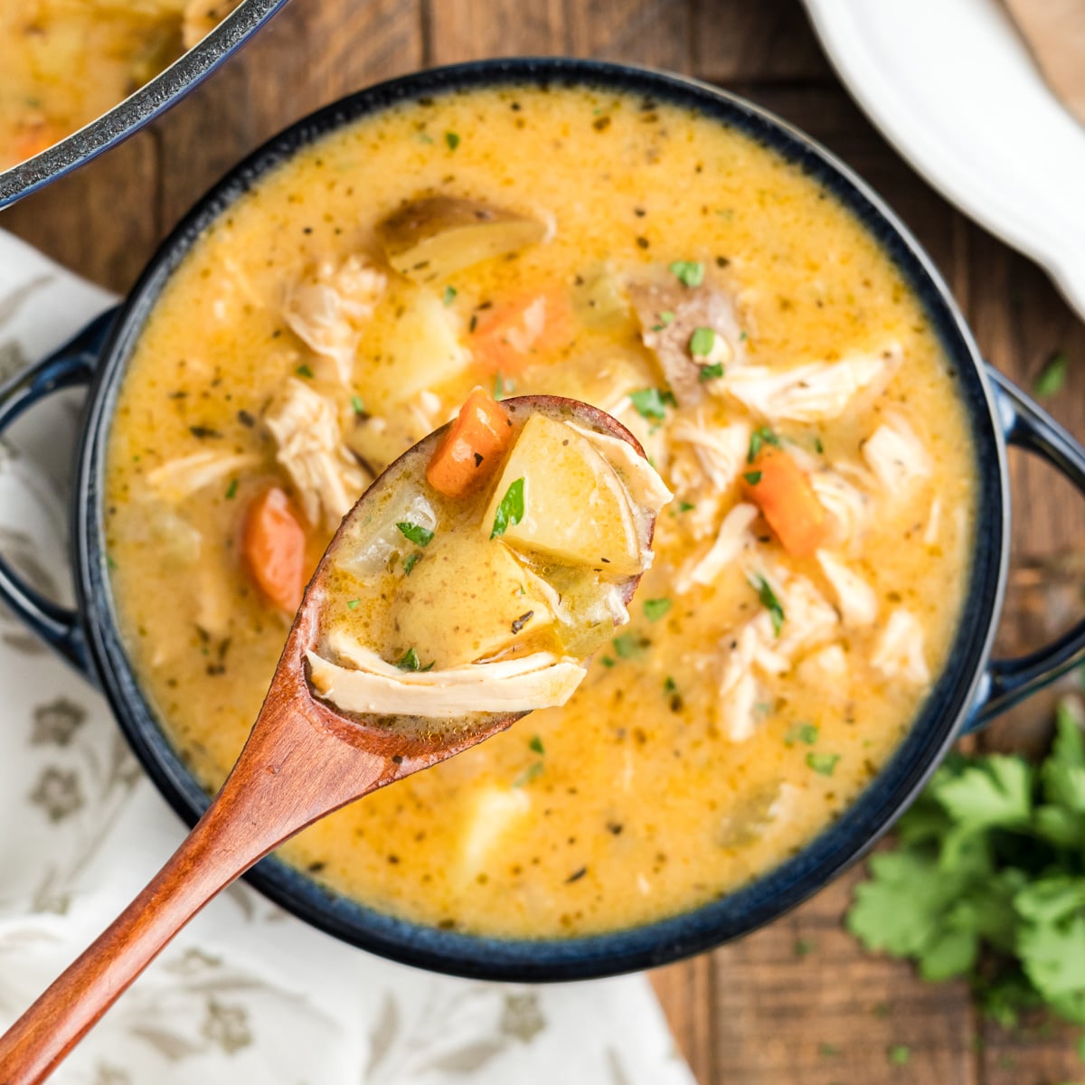 Creamy Chicken Stew - Kitchen Divas