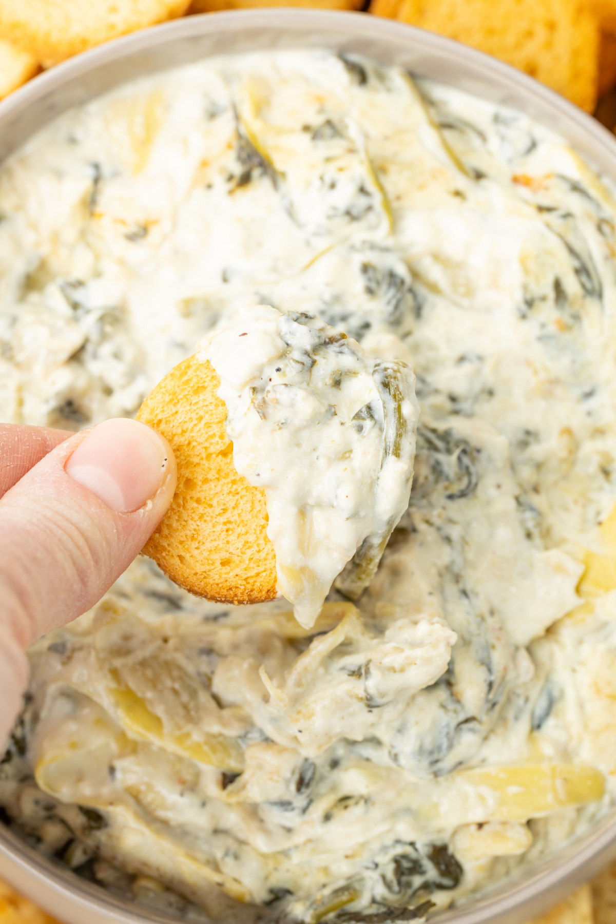 A cracker scooping up some spinach artichoke dip.