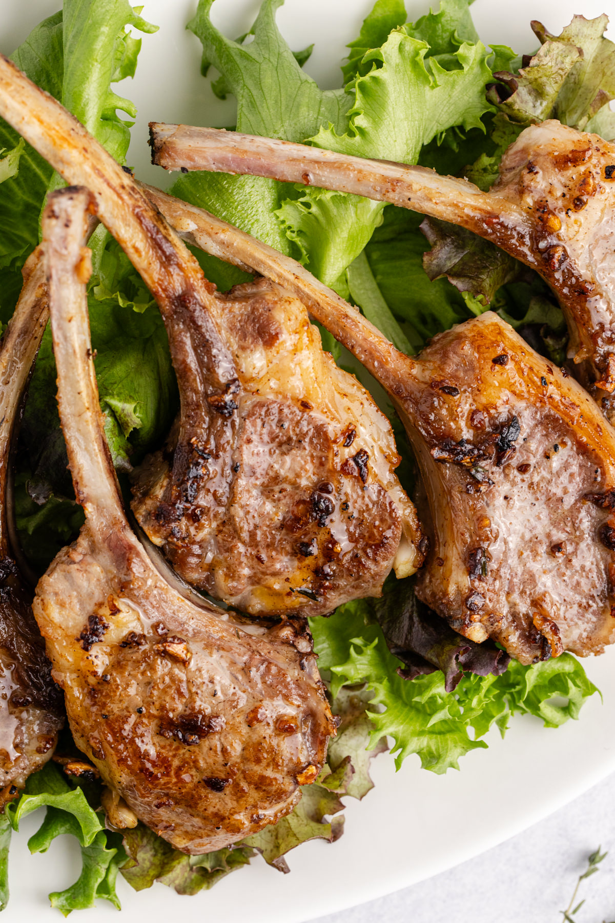 A plate filled with seared lamb chops on greens. 