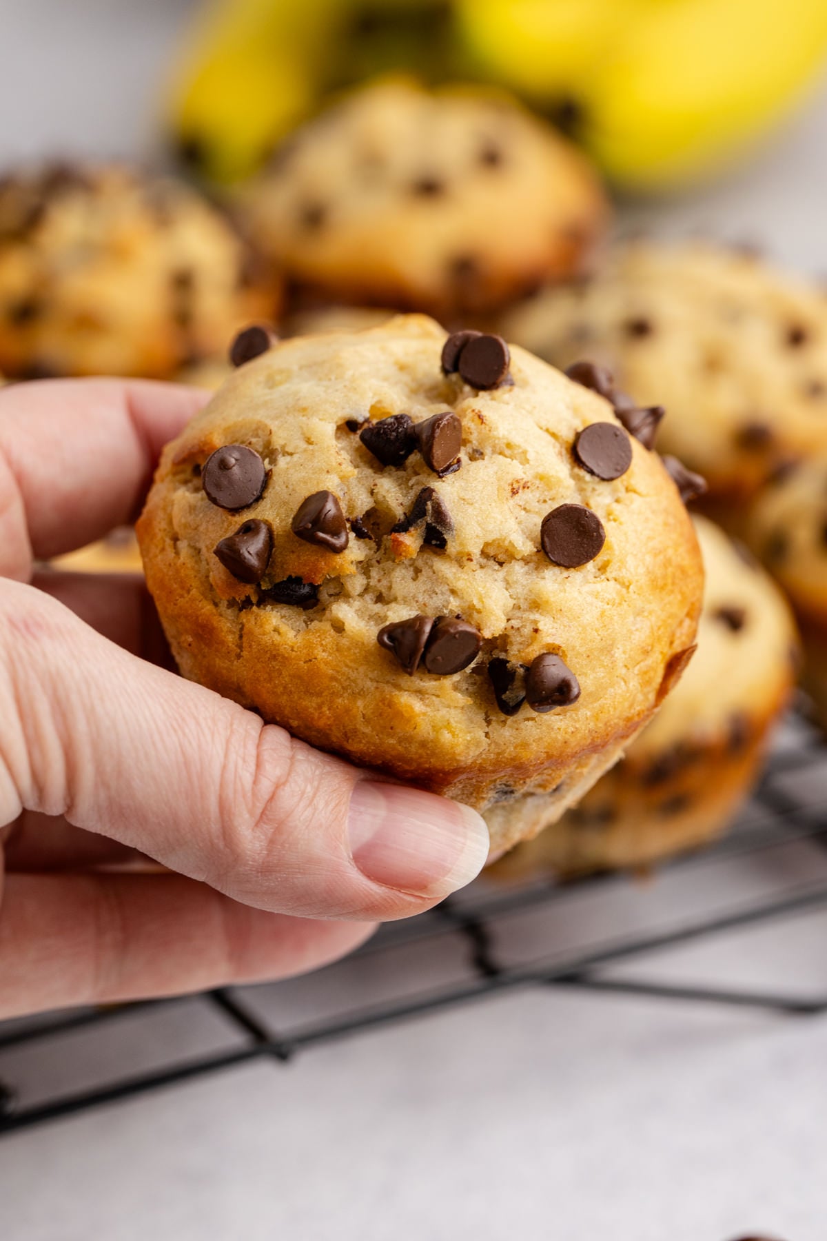 A hand holding a peanut butter muffin with chocolate chips.