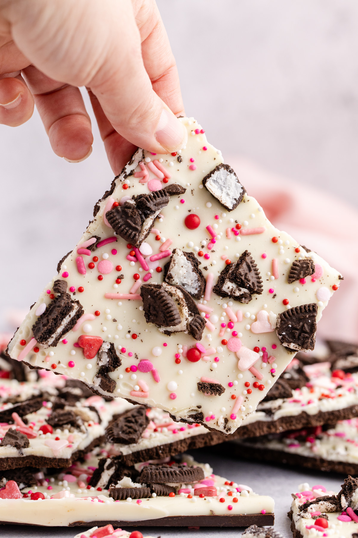 A hand holding up a piece of bark with oreo and sprinkles.