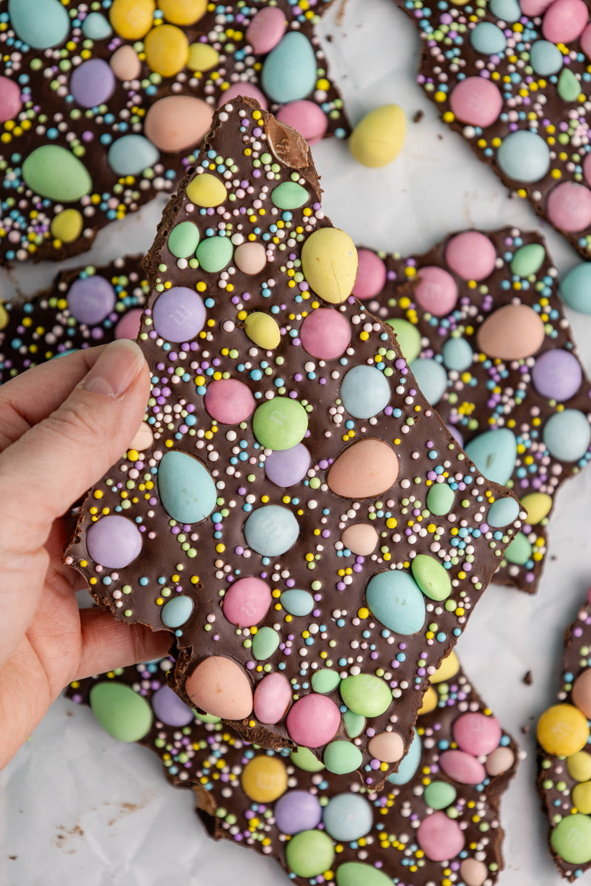 A hand holding up some Easter bark.