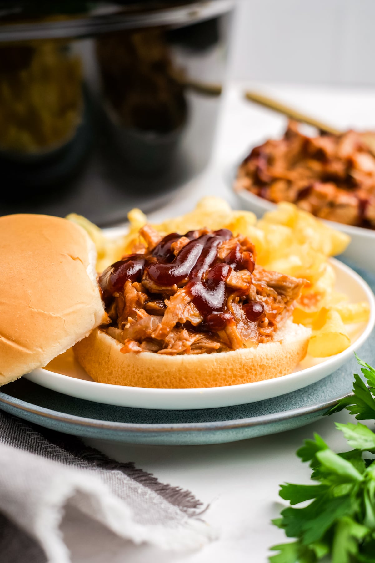 Pulled pork on a bun with BBQ sauce.