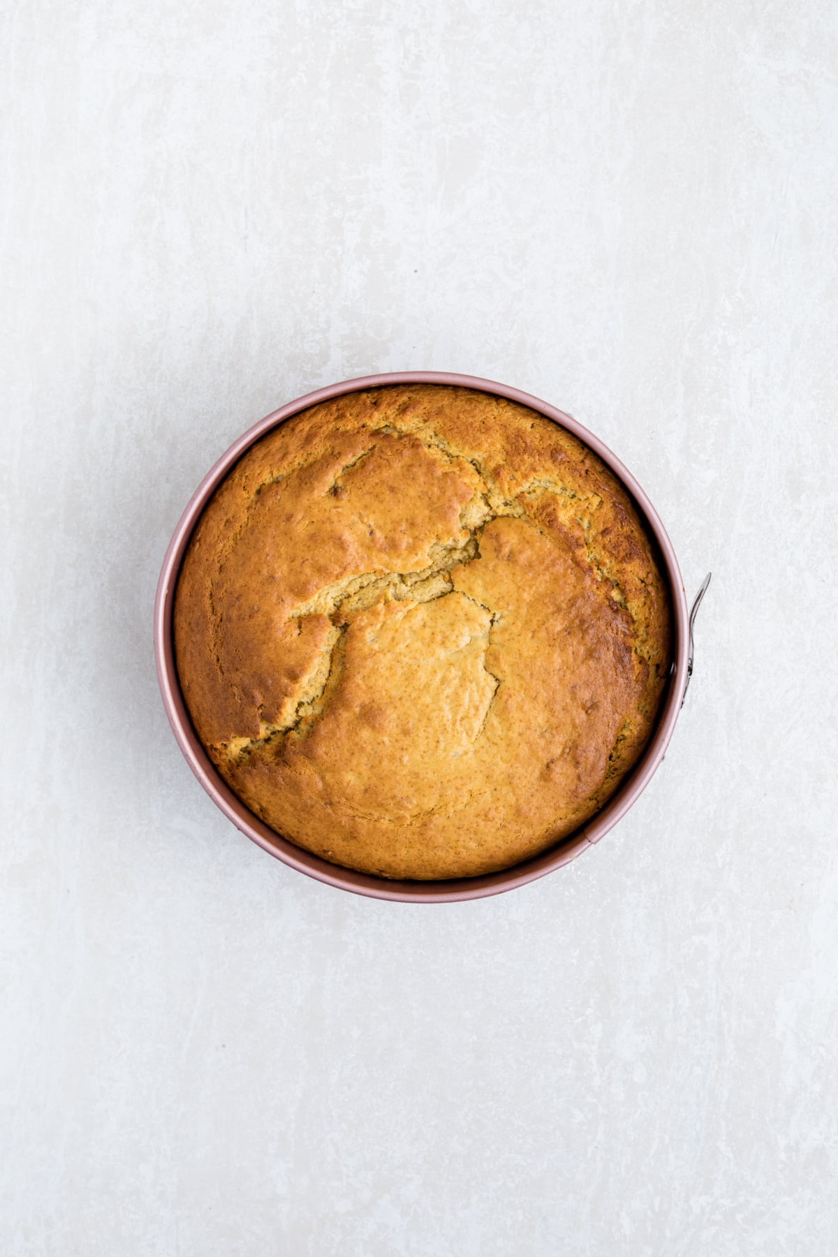 Golden brown cake baked fresh from oven.