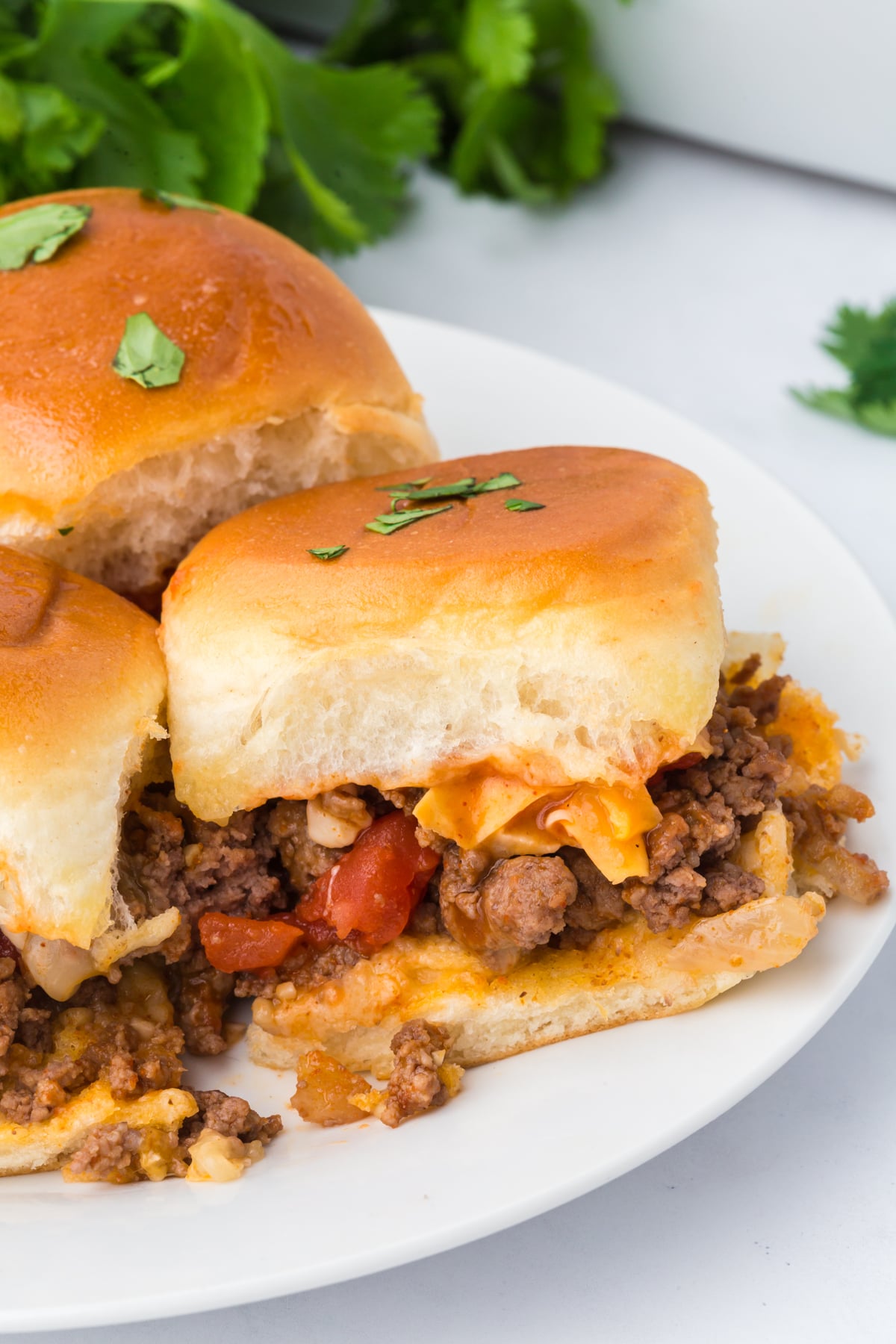 Three sliders on a plate.