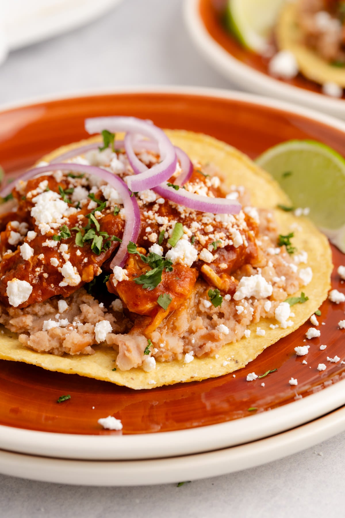 A plate with chicken tinga on a tortilla with toppings.