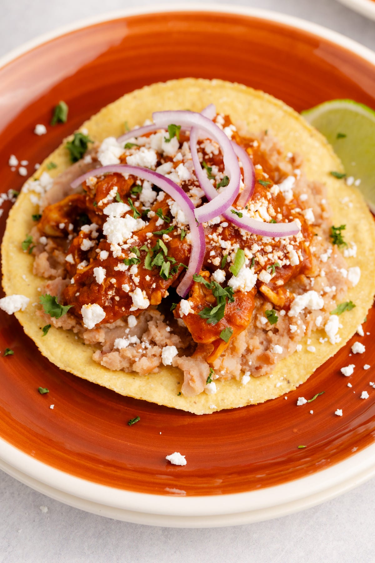 Chicken tinga on a tortilla.
