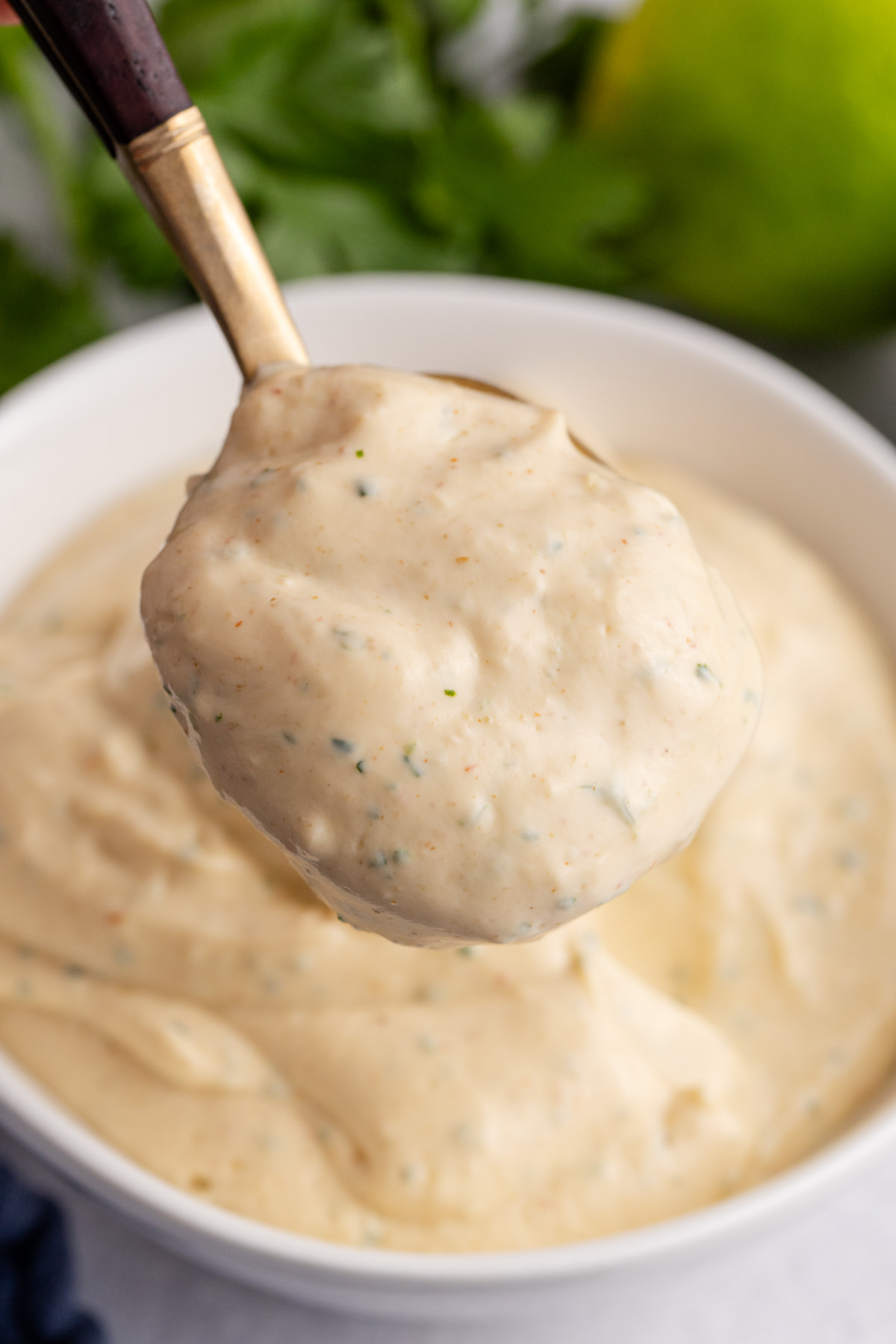 Taco sauce on a spoon in the air.