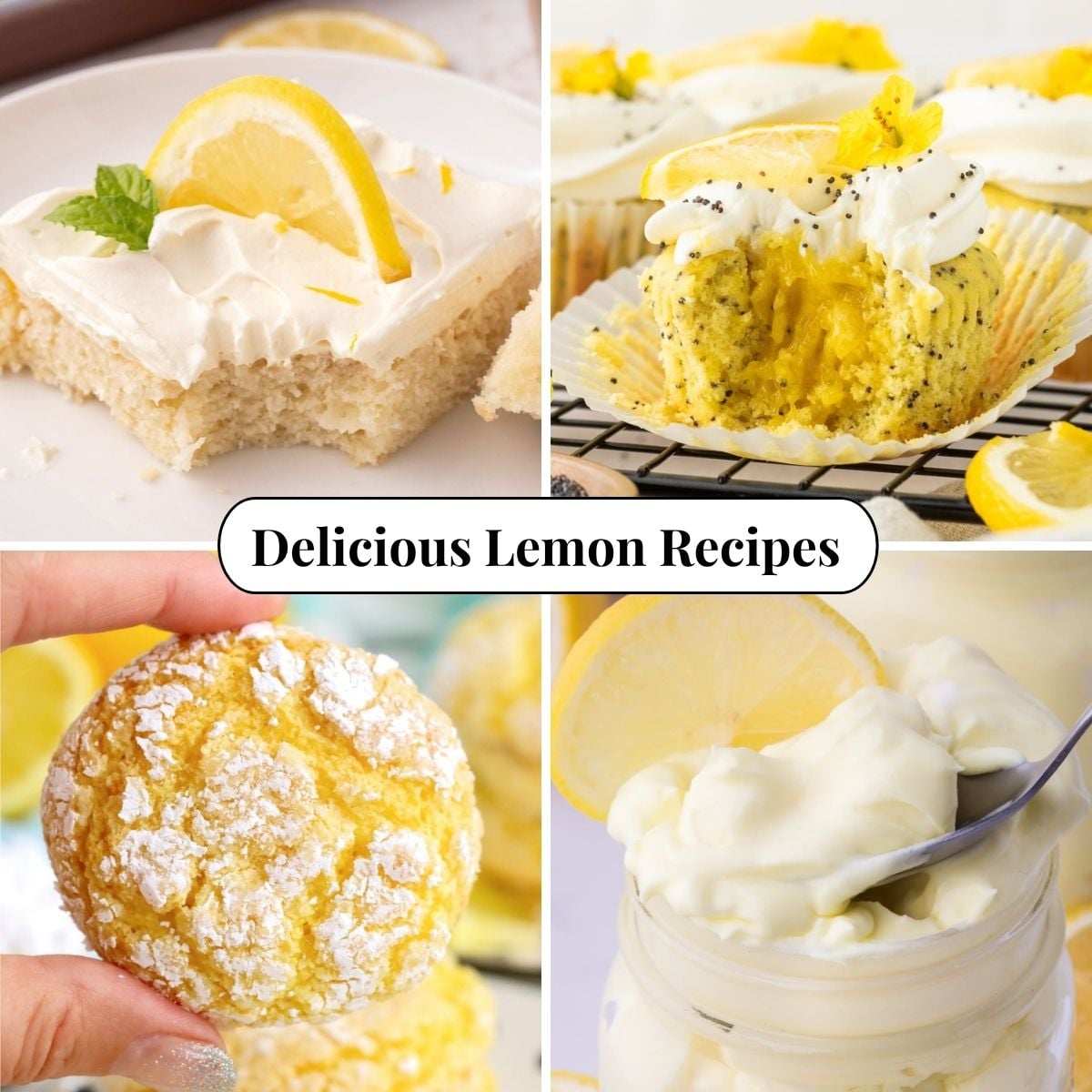 Four different photos of Lemon Recipes.