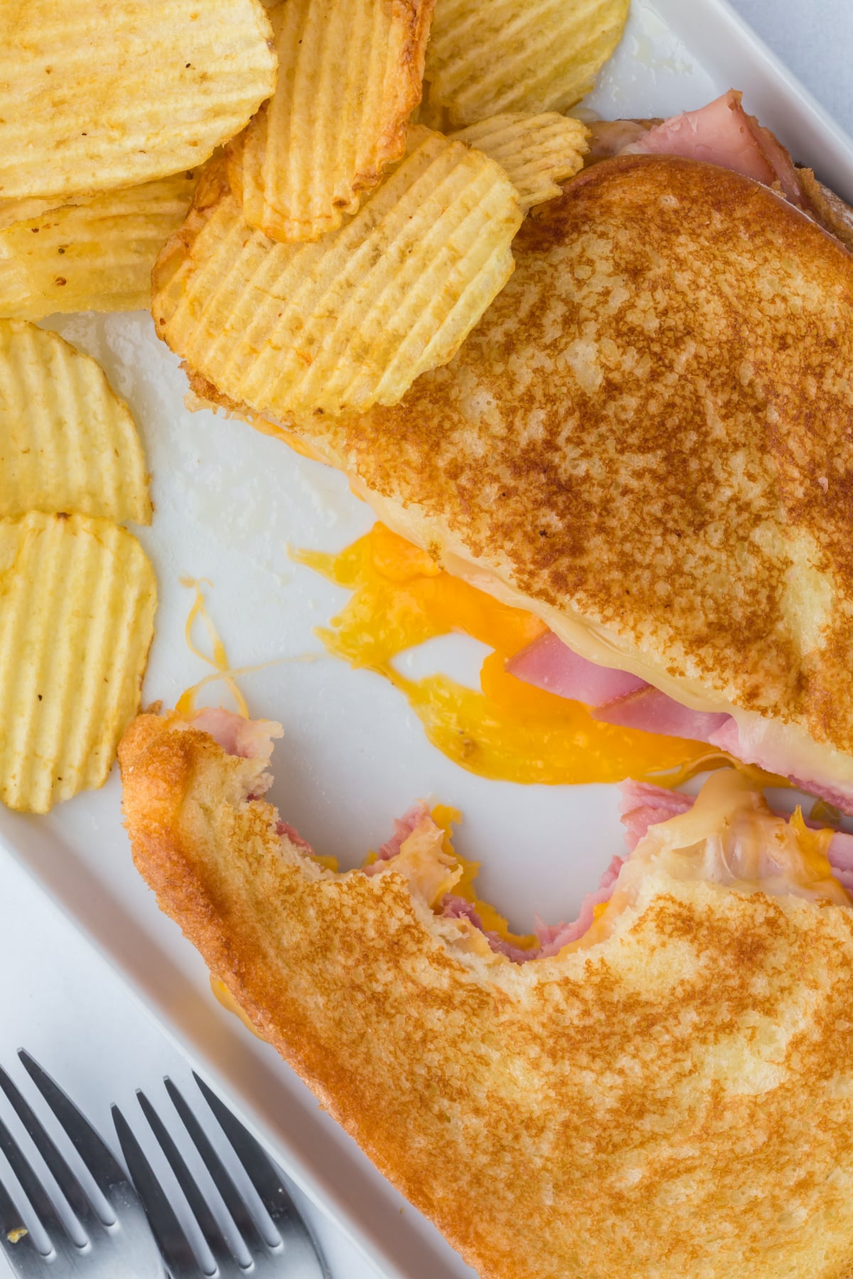 sandwich cut in half on a plate with bites missing.