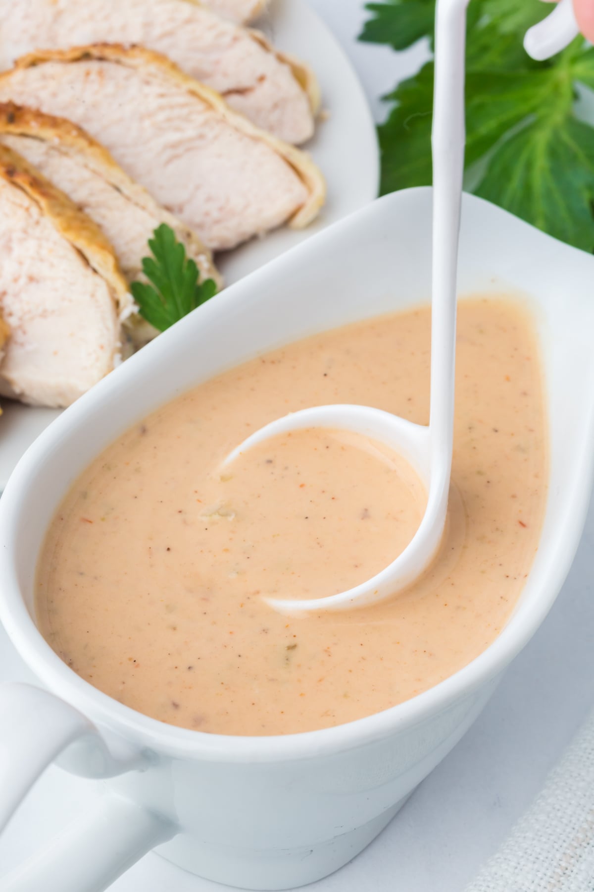 Ladle of gravy lifted out of gravy boat.