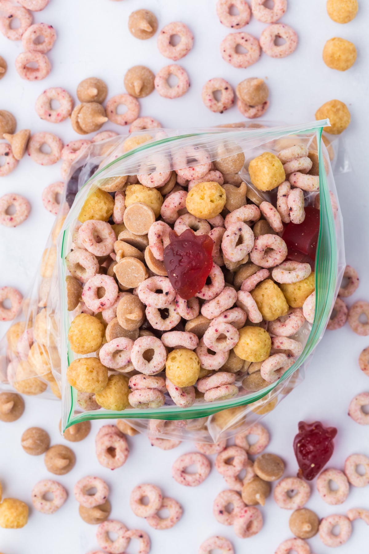Trail Mix portioned into a resealable snack bag