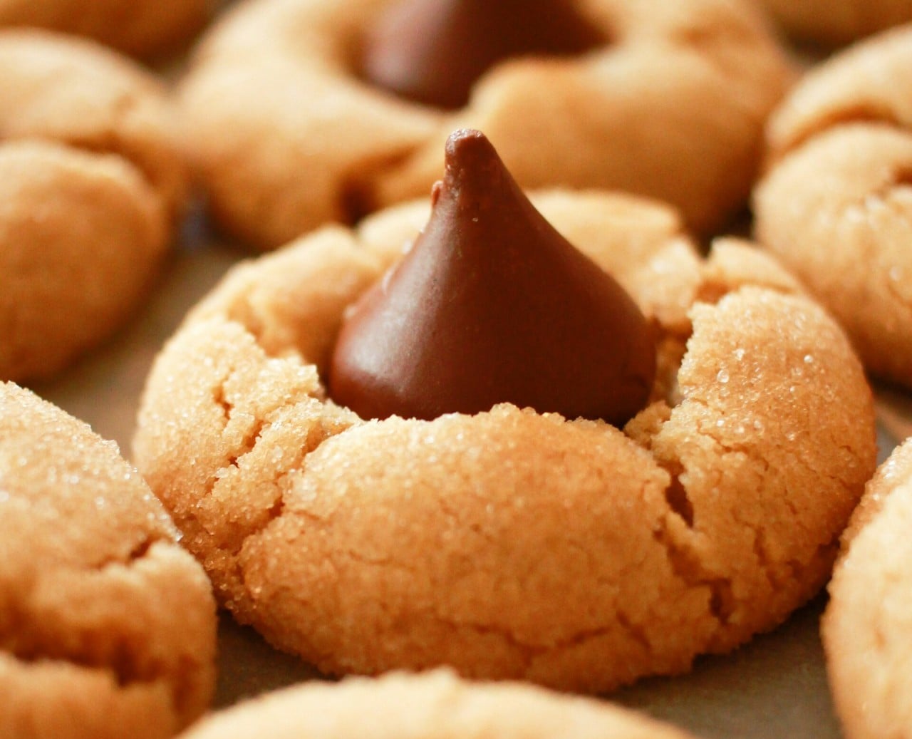peanut butter blossom cookie