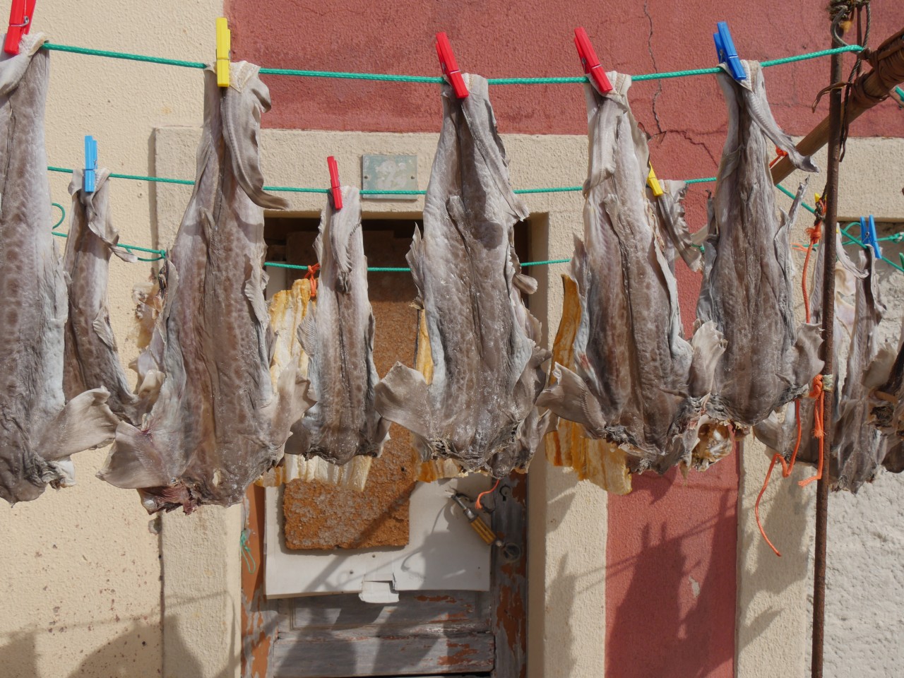 Salt cod