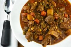 Slow Cooker Beef, Beer and Onion Stew