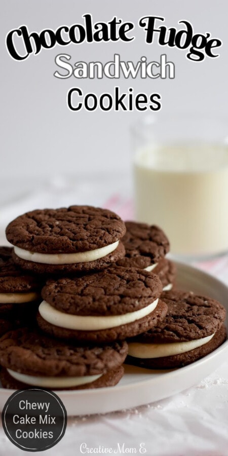 Chocolate Cookies on a white plate with a glass of milk.